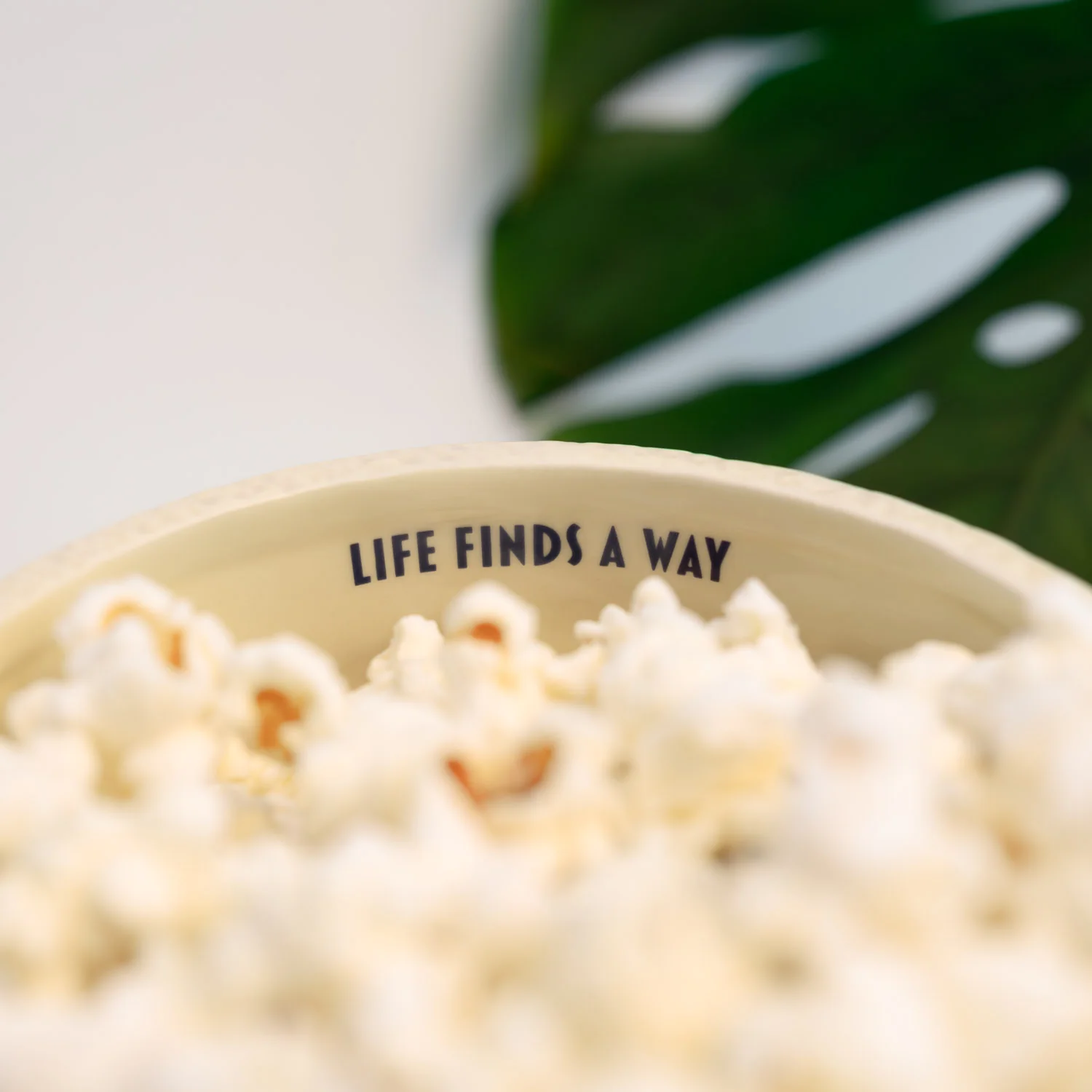 Imagen del producto 10