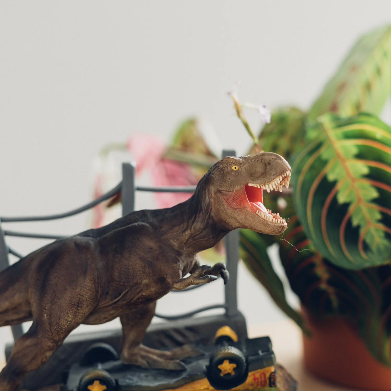 Imagen del producto 7