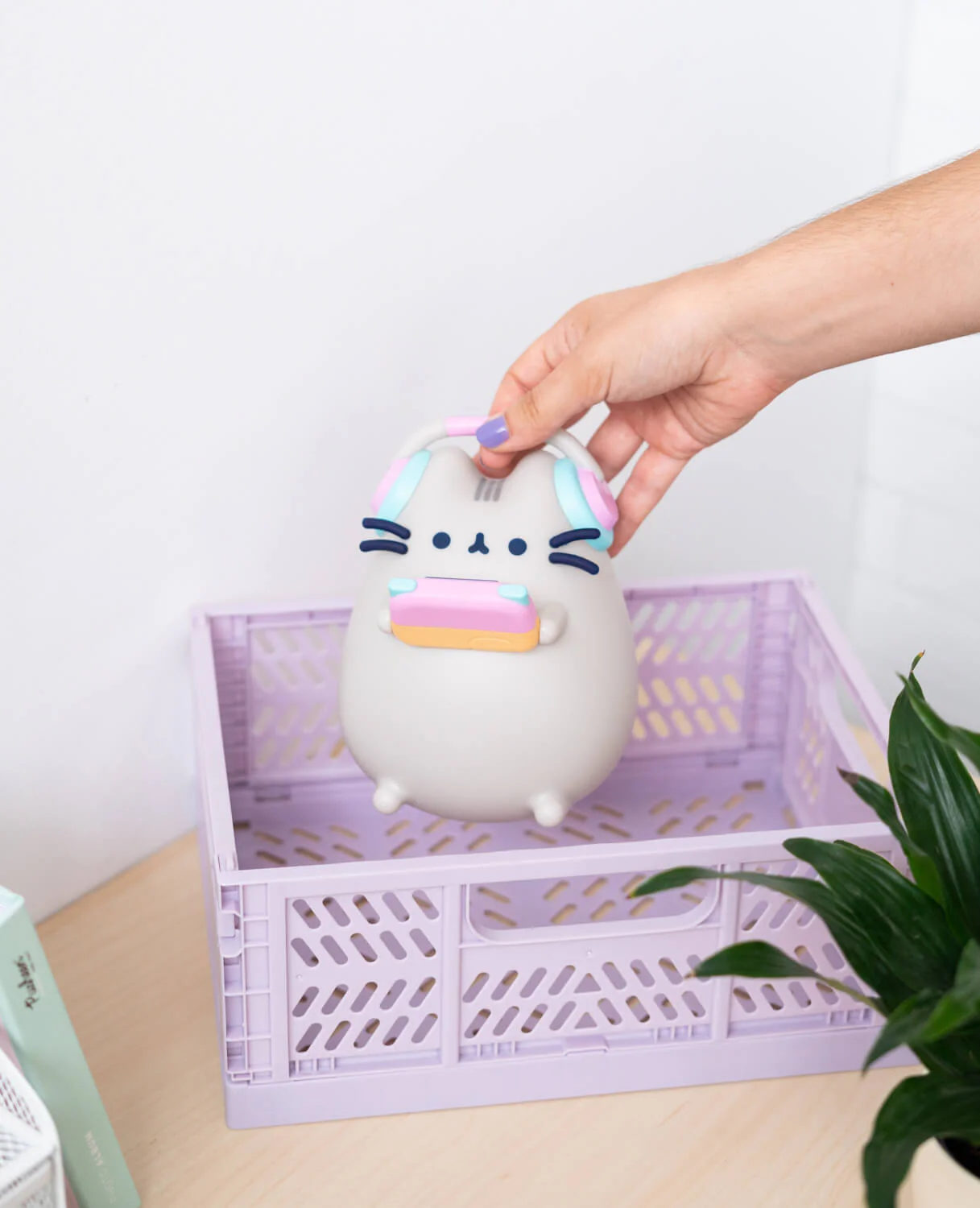 Imagen del producto 7